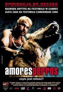 Amores perros [2000] – Cały film online