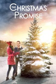 The Christmas Promise [2021] – Cały film online