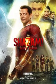 Shazam! Gniew bogów [2023] – Cały film online