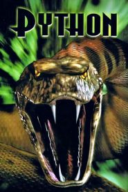 Python [2000] – Cały film online