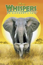 Whispers: An Elephant’s Tale [2000] – Cały film online