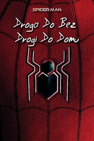 Spider-Man: Droga do Bez drogi do domu [2022] – Cały film online