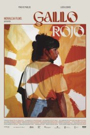 Gallo Rojo [2024] – Cały film online