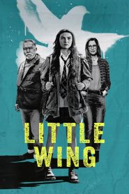 Little Wing [2024] – Cały film online